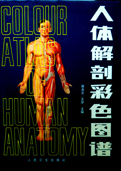 人体解剖彩色図譜*