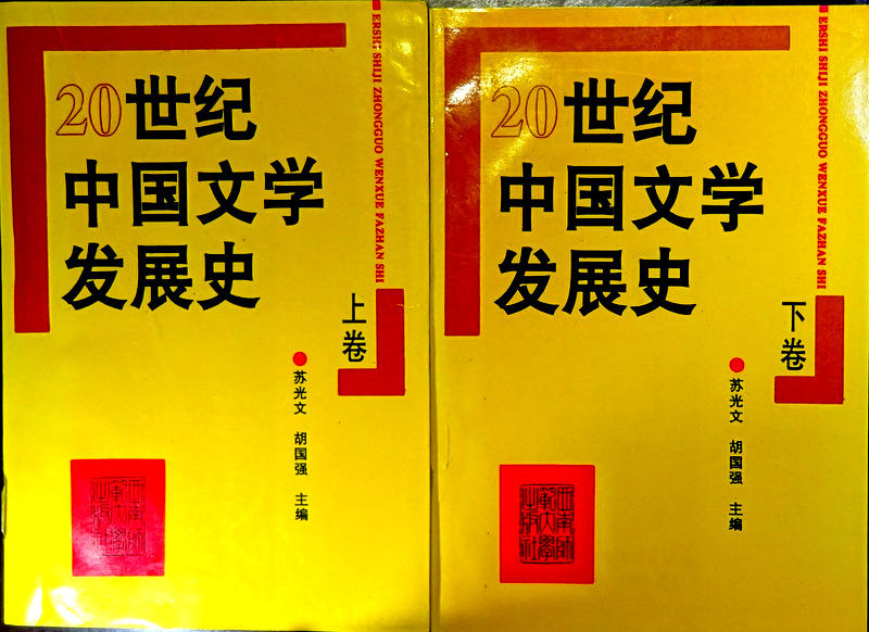 ２０世紀中国文学発展史*
