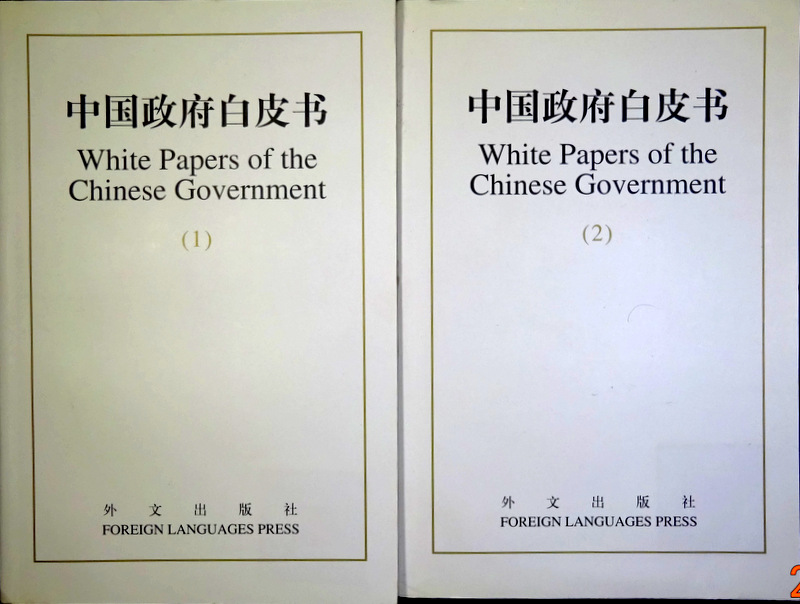 中国政府白皮書　１９９１−１９９９*