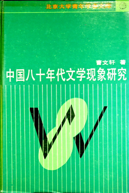 中国八十年代文学現象研究*