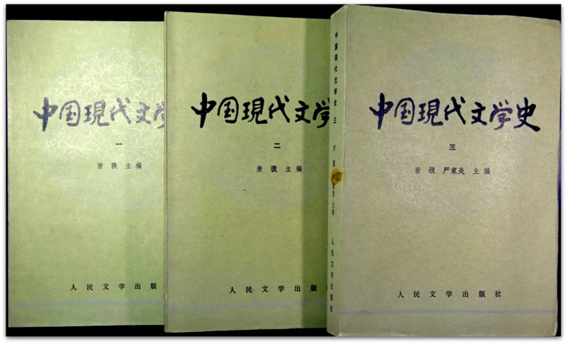 中国現代文学史*