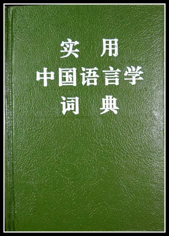 実用中国語言学詞典*